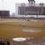 1969 MLB season by team