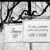 1946 television series debuts