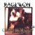 Raekwon songs