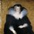 Marie de' Medici