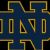 2001 NCAA Division I-A independents football season