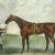 Champion (horse)