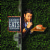 Secret Eats with Adam Richman