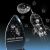 Locus Award