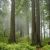 World Heritage Sites in California