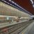 Georges Henri premetro station
