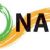 Nanyang Academy of Fine Arts