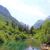 Caucasus mixed forests