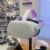 Oculus Quest 2