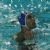 European Water Polo Championship medalists
