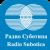 Serbian-language radio stations