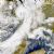 2000 natural disasters