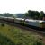 2006 in rail transport