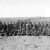 Auckland Mounted Rifles Regiment
