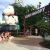 Amusement parks opened in 2024