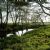 Rivers of Mogilev region