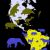 Biota by continent