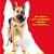 Finding Rin Tin Tin