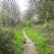 Nature reserves in Sutton