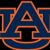 Auburn Tigers men's basketball seasons