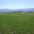 Los Padres National Forest