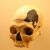 Upper Paleolithic Homo sapiens fossils