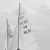 Canadian male sailors (sport)
