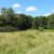 Nature reserves in Enfield