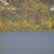 Dams completed in 1885