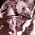 Willis H. O'Brien