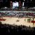 Stanford Cardinal volleyball