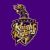 Kolkata Knight Riders  – current squad