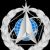 Chief of Space Operations