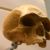 1932 archaeological discoveries