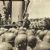 History of Borneo