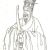 Liu Ji (14th century)