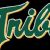 William & Mary Tribe men's basketball seasons