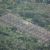 Power stations in Kerala
