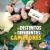 Ni distintos ni diferentes: Campeones