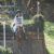 Irish equestrian biography stubs