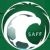 Saudi First Division players
