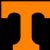 Tennessee Volunteers basketball seasons