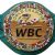 World Boxing Council champions