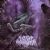 Infant Annihilator albums