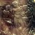 Male lovers of Heracles