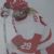 Boston University Terriers women's ice hockey players