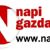 Napi Gazdaság