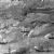 Naval battles of the Sino-French War