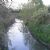 Jasień (river)