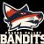Canadian Elite Basketball League teams
